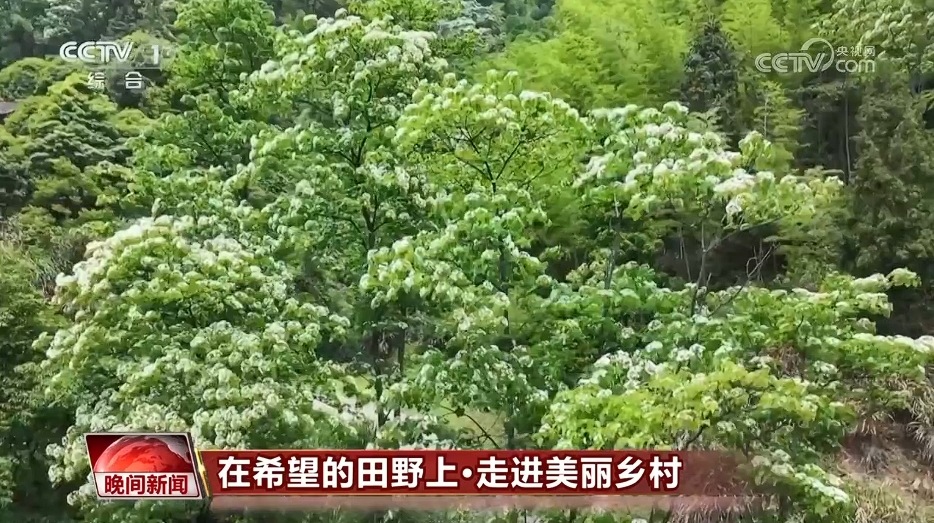威尼斯wns.8885556各地探究“生态+文旅”立异形式 为村落复兴注入新生机